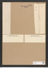 Nitzschia angularis var. accidentalis Grun. (de-Toni-Nr.: Genus 47, Species 2086) Zeichnungen Sammlung Grunow Nr. 4146 (NHMW-BOT-W0372026)